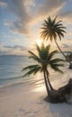 classy beach with coconut trees, vacation start Royalty Free Stock Photo