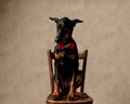 classy dobermann wearing red bowtie sitting on chair Royalty Free Stock Photo