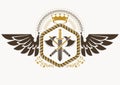 Classy emblem made with eagle wings decoration, armory and royal