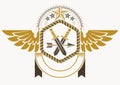 Classy emblem made with eagle wings decoration, armory and stars