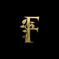Classy Gold Leaf F Letter Logo