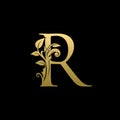 Classy Gold Leaf R Letter Logo