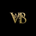 Classy Gold Leaf VB Letter Logo