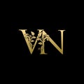 Classy Gold Leaf VN Letter Logo