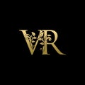 Classy Gold Leaf VR Letter Logo