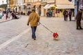 Classy mature lady walking with dog