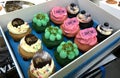 Classy Melco Studio City Hotel Sweet & Sticky Dessert Cupcakes Vanilla Raspberry Chocolate Blueberry Pistachio Entertainment