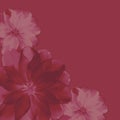 Classy Red Floral Background paper