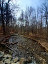 Claude Dubrick Trail in Spring