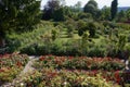 France Giverny Claude Monet gardens 847371