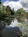 Claude Monet& x27;s garden in Giverny