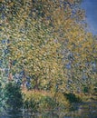 Claude Oscar Monet was an important French painter. He is considered the founder of the Impressionism art movement