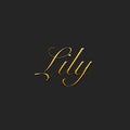 Lily - Female name