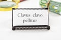 Clavus clavo pellitur. The ancient Greek expression translates as, A wedge is knocked out with a wedge. on a white business card