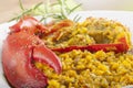 Clawed Lobster with yellow rice Royalty Free Stock Photo