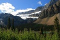 Clawfoot Glacier and Meadow Royalty Free Stock Photo