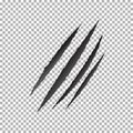 Claws scratch vector, animal claw scratch