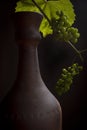 Clay bottle for wine Royalty Free Stock Photo