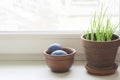 Clay bowl of Easter eggs and sprouted onions in a pot on a white windowsill, close-up, copy space.