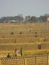 Clay bricks getting dried at a Brick Kiln