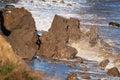 Clay cliff erosion by the north sea. Royalty Free Stock Photo