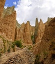 Clay cliffs