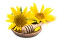 Clay dish with honey drizzler and sunflowers