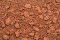 Clay earth lumps Royalty Free Stock Photo