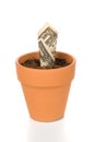 Clay flower pot and cash