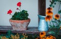 Clay flower pot with red flowers Royalty Free Stock Photo