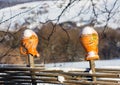 Clay jug on fence in winter time