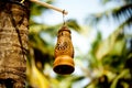 Clay lamp and palm tree Royalty Free Stock Photo