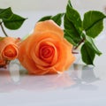 Clay orange roses flower on white background Royalty Free Stock Photo