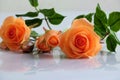 Clay orange roses flower on white background Royalty Free Stock Photo