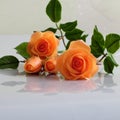 Clay orange roses flower on white background Royalty Free Stock Photo