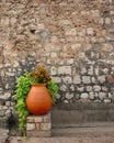 Clay pot with flowers Royalty Free Stock Photo