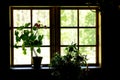 Clay pot and flowers at the the window. Vintage retro still life photo. Village house interior concept