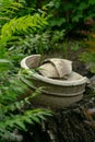 Clay pot with geometric ornament Royalty Free Stock Photo