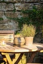 Clay pot with herbs on wooden table