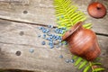 A clay pot with scattered blueberries and fern leave on a wooden table