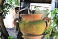 Clay pot use as zink in the gargen