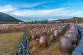 Clay pottery at Jeju stone Park, Republic of Korea Royalty Free Stock Photo