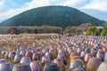 Clay pottery at Jeju stone Park, Republic of Korea Royalty Free Stock Photo