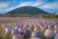 Clay pottery at Jeju stone Park, Republic of Korea Royalty Free Stock Photo