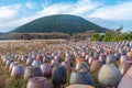 Clay pottery at Jeju stone Park, Republic of Korea Royalty Free Stock Photo