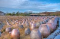 Clay pottery at Jeju stone Park, Republic of Korea Royalty Free Stock Photo