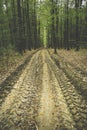 Clay road in the forest with wheel marks Royalty Free Stock Photo