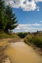 Clay road in the mountains after rain. Carpathian landscape