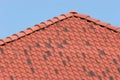 Clay Roof