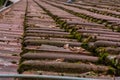 Clay Roof Shingles European German Moss Dirty Old Shed Top Close Royalty Free Stock Photo